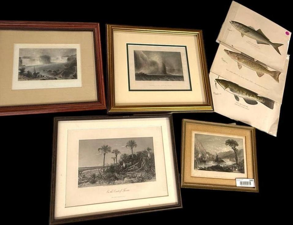 Denton Fish prints and more: Denton Fish prints, Niagara Falls prints and more. 7 pieces. Fish approx. 12 x 9.5 inches.