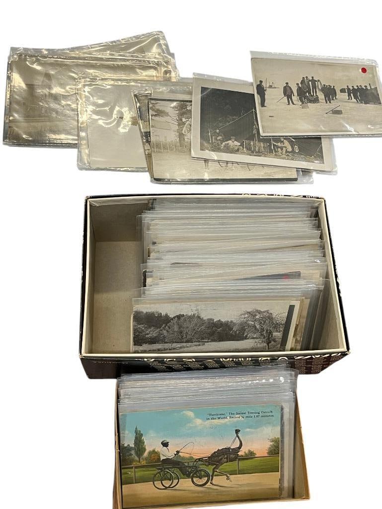Giant Vegetables, Real Photo postcards and more (1 of 7)