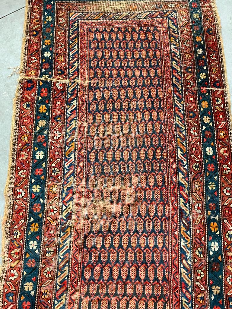 Persian Senneh Runner - 4