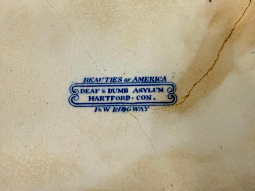 2 Transferware Platters - 5