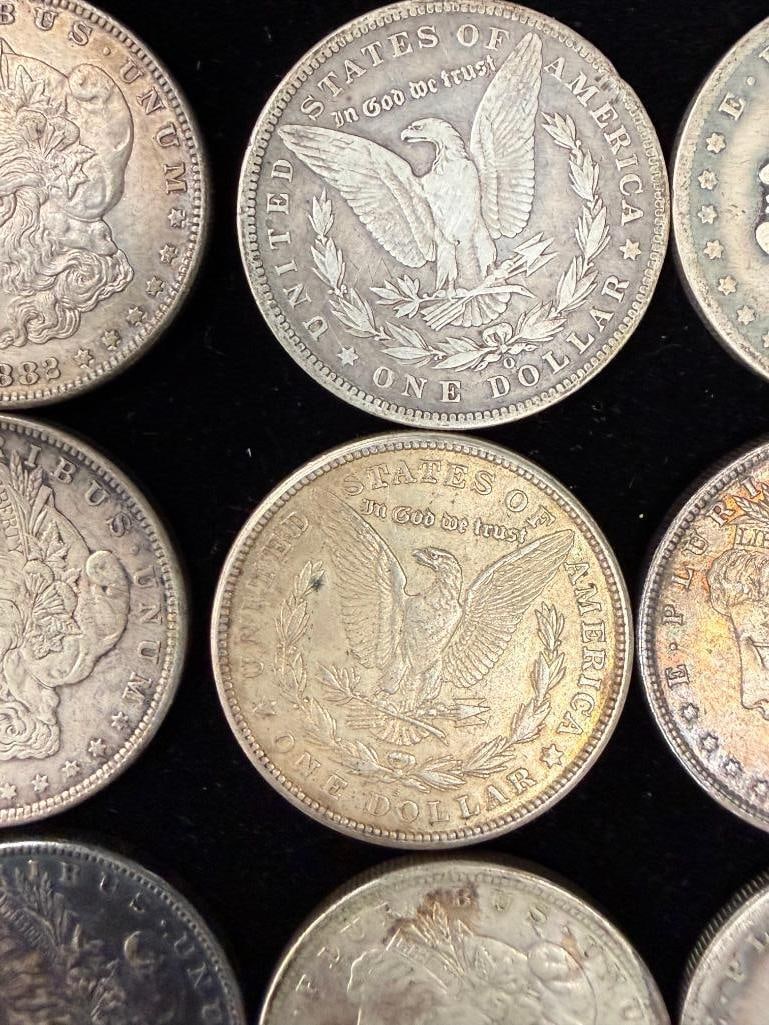 12 Morgan Silver Dollars - 2