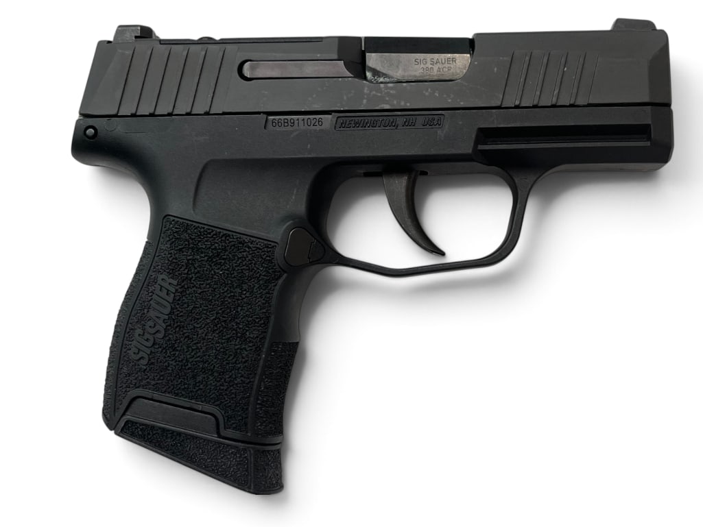 Sig Sauer Model P365 .380 ACP pistol (1 of 8)