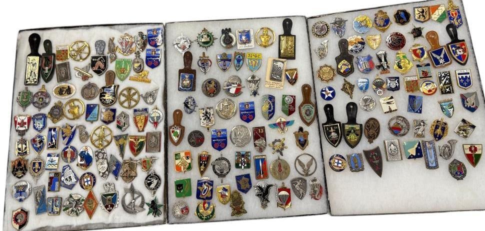 Collection of Foreign Military Pins and more (1 of 4)