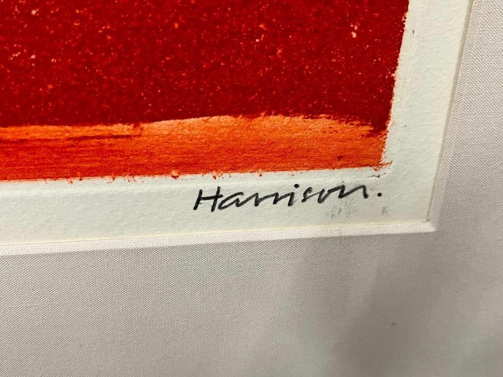 Anthony Harrison signed and numbered print - 4