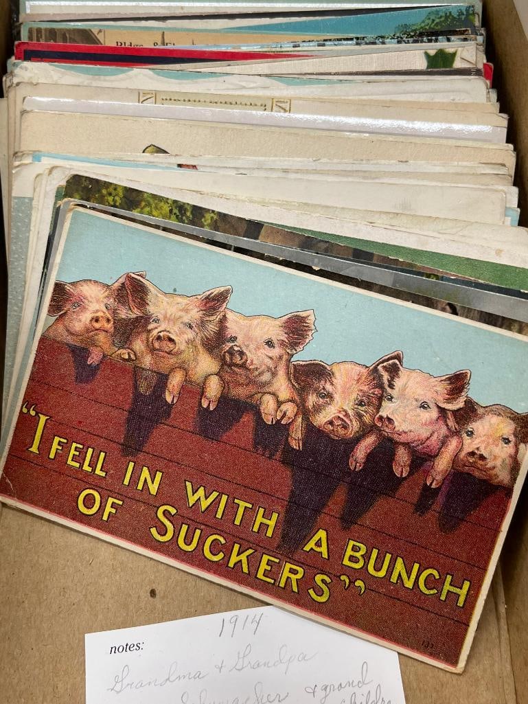 Group of Postcards (1 of 5)