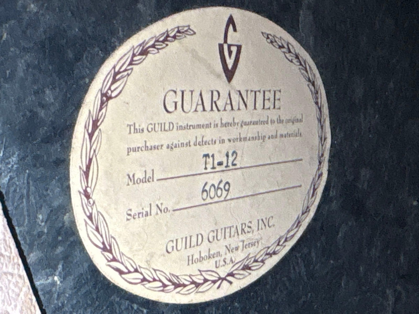 Guild Thunder 1 Guitar Amp - 9