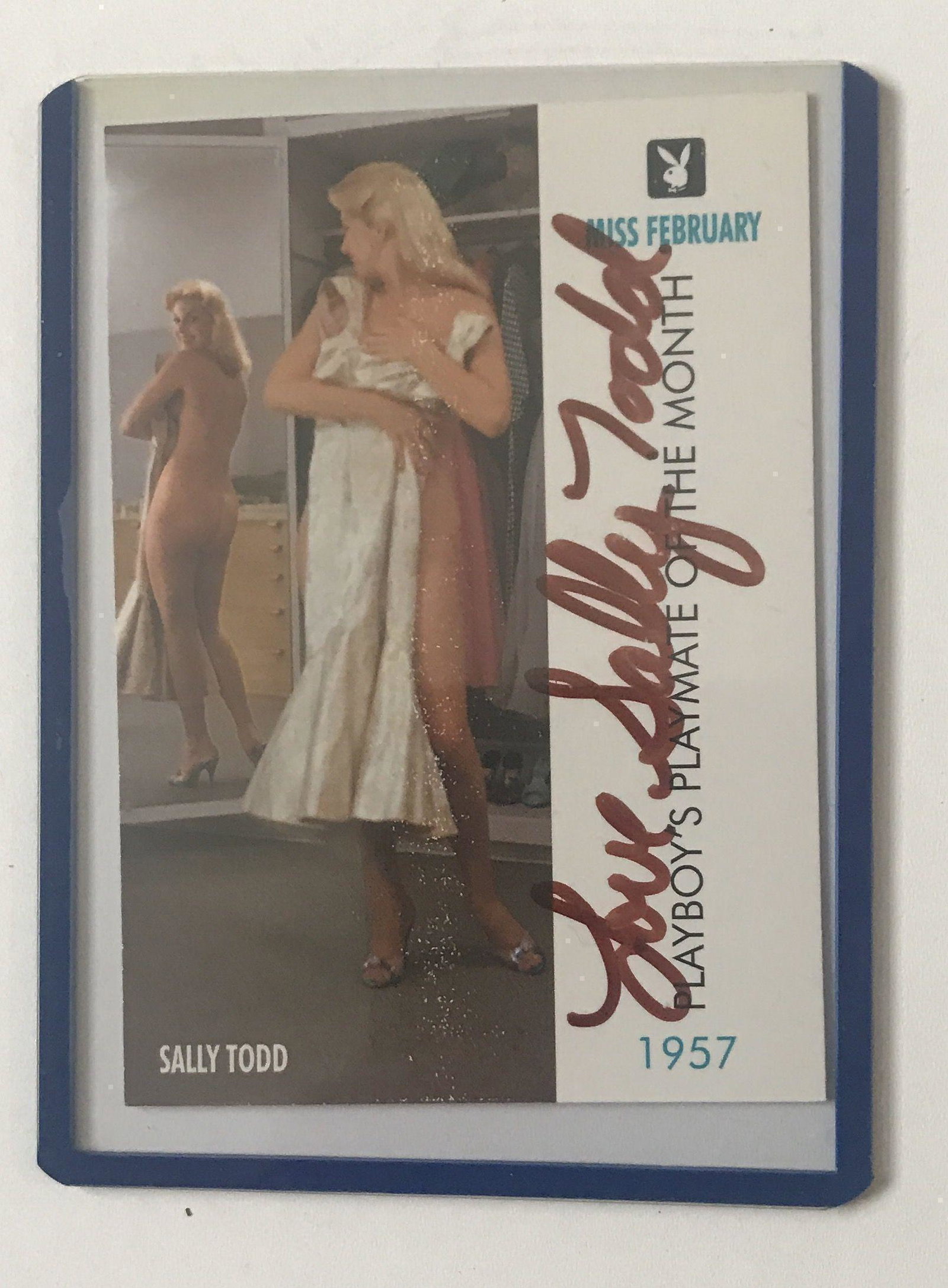 Tiger Woods Signed Nov 1996 Sports Illustrated Magazine: This lot is a Sports Illustrated Magazine (Nov 96) autographed by Tiger Woods. Item comes with Certificate of Authenticity guaranteeing it for a lifetime