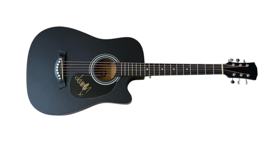 Blur Damon Albarn Signed Acoustic Guitar: This lot is an acoustic guitar, autographed on the plate by Damon Albarn of Blur. Item comes with third-party authentication and affixed tamper-proof holographic QR sticker leading to item details and