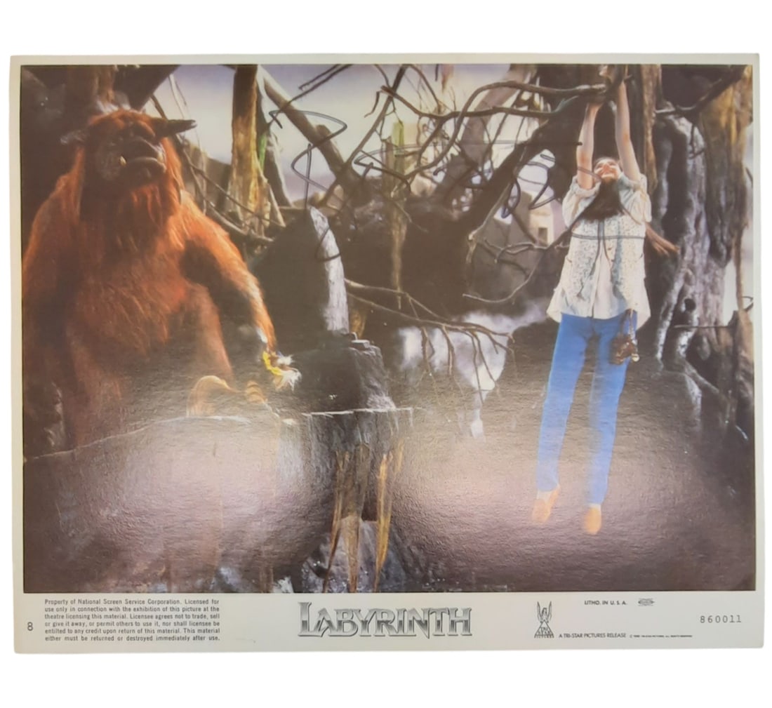 David Bowie Signed Labyrinth Movie Photograph: This lot is a 10x8" movie photograph (Labrinth - 4), autographed by David Bowie. Item comes with third-party authentication and affixed tamper-proof holographic QR sticker leading to item details and
