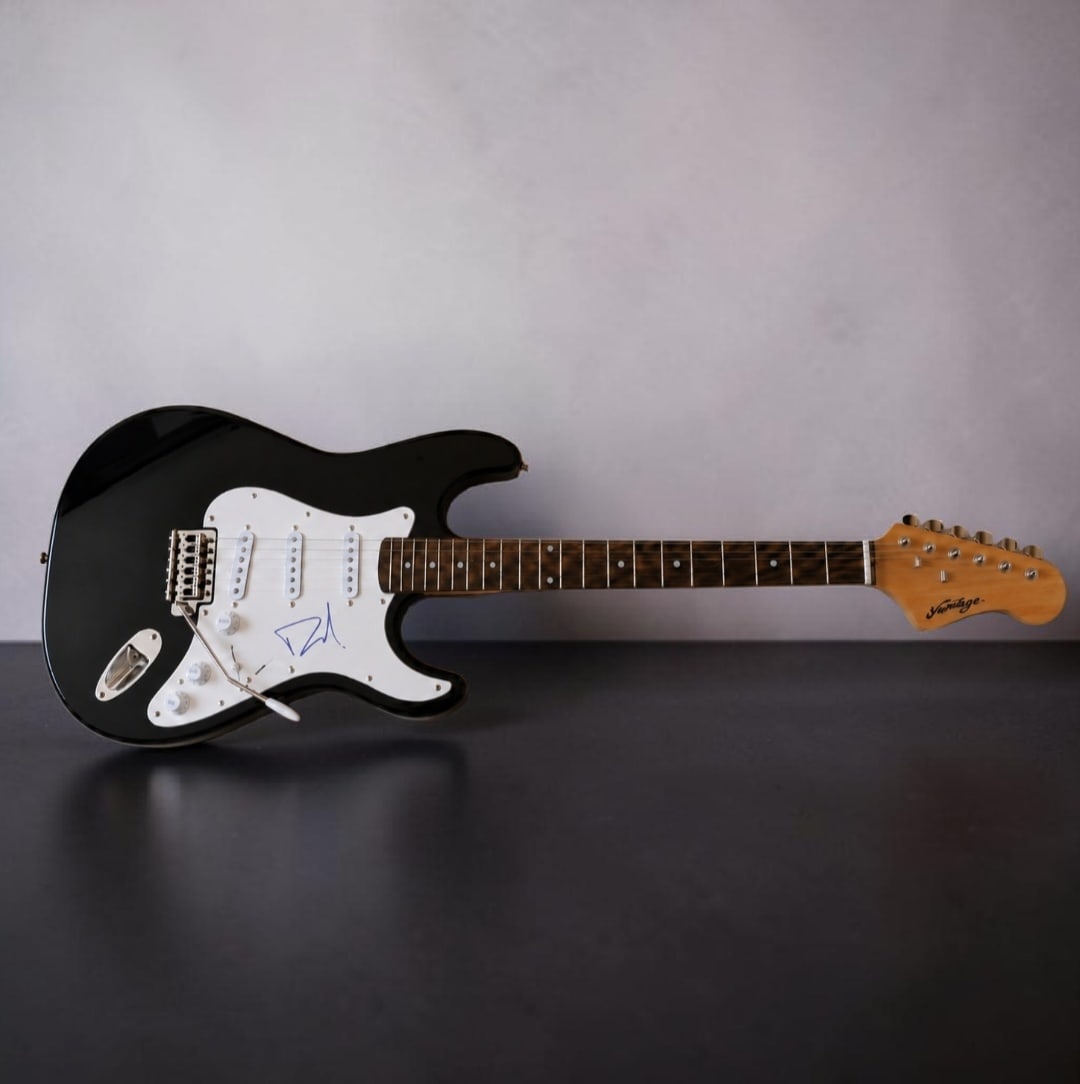 Dave Grohl Foo Fighters Signed Stratocaster Style Electric Guitar (1 of 2)