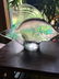 Rene Lalique Gros Poisson Vagues - 3