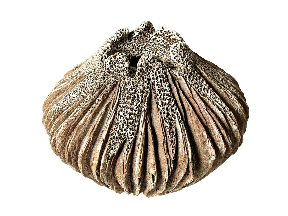 Anne Goldman Ceramic Wind Drift Vessel Stoneware Vase California USA 1960s Artist info card to (1 of 10)