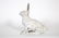 Figural Cast Iron Rabbit Doorstop/Garden ornament. - 4