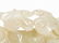 Qing Dynasty white jade carving Ganoderma lucidum - 4