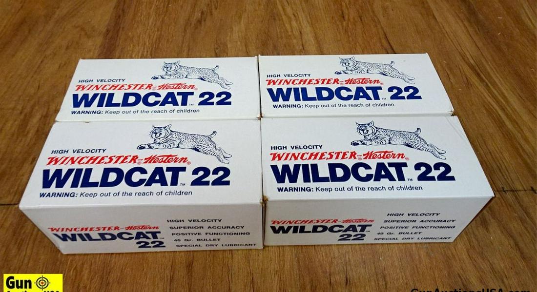 Winchester .22 LR WILDCAT Ammo. 2000 Rounds of High Velocity LR. . (58540): Winchester .22 LR WILDCAT Ammo. 2000 Rounds of High Velocity LR. . (58540)