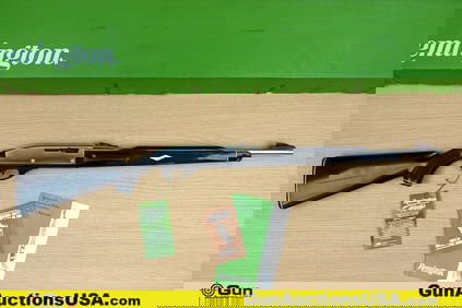 Remington NYLON 66 .22 LR COLLECTOR'S Rifle. Excellent. 19" Barrel. Shootable Bore with Rust, Tight
