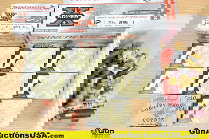 Winchester, Hornady, Royal Star, Etc. 12 Ga Ammo. Approx. 200 Rds in Total. 190 Rds of 2 3/4" 12 Ga.