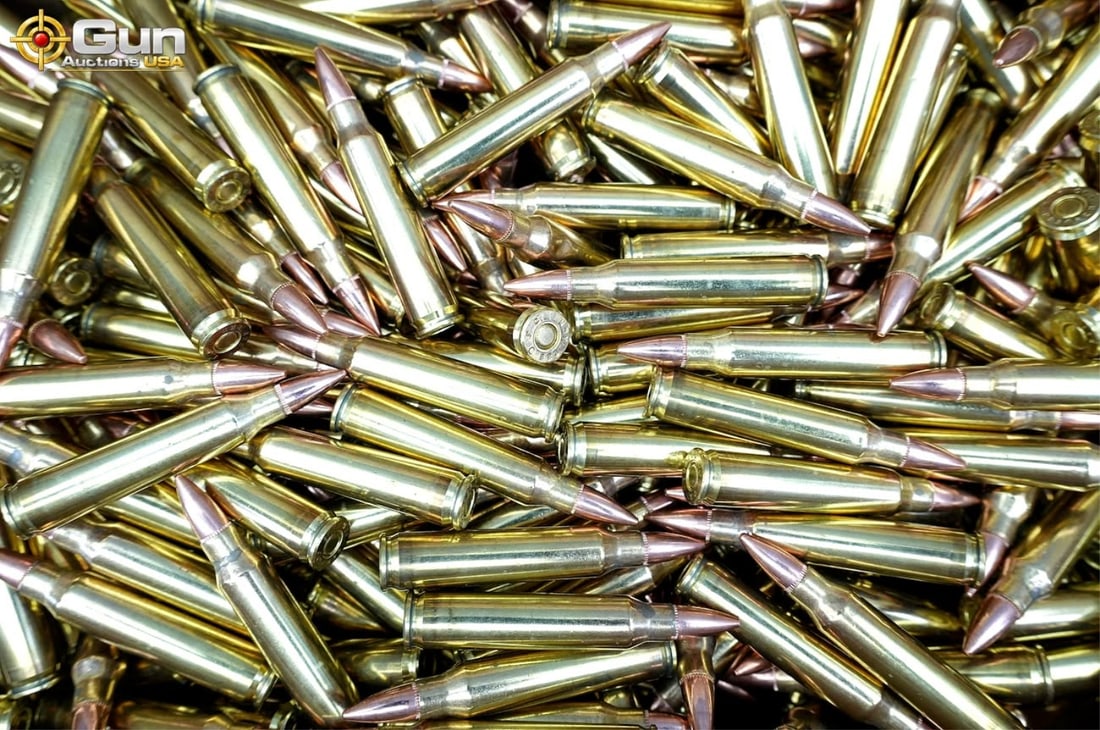 Fiocchi, etc. ammunition Approx. 800 rounds in total. Contains approx. 800 rds of .223 ammunition.: Fiocchi, etc. ammunitionApprox. 800 rounds in total. Contains approx. 800 rds of .223 ammunition. (500537) (GSCV81)