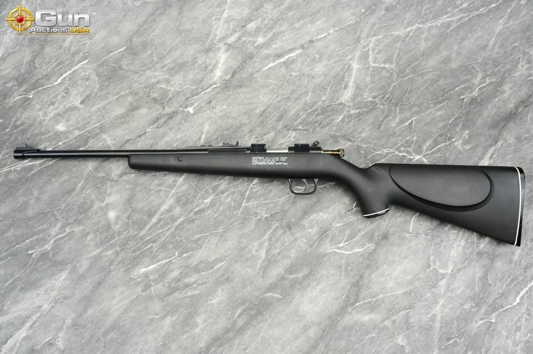 DAISY 8 .22 BOLT RIFLE - 6