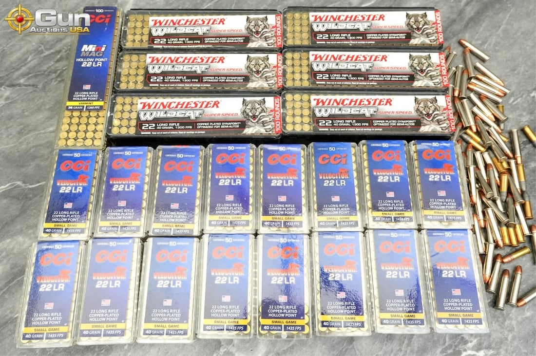.22 LR CCI and Winchester ammunition. (1 of 6)