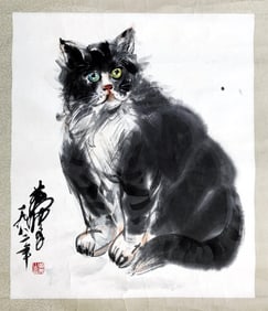 FUNNY CAT PICTURES BY HUANG ZHOU