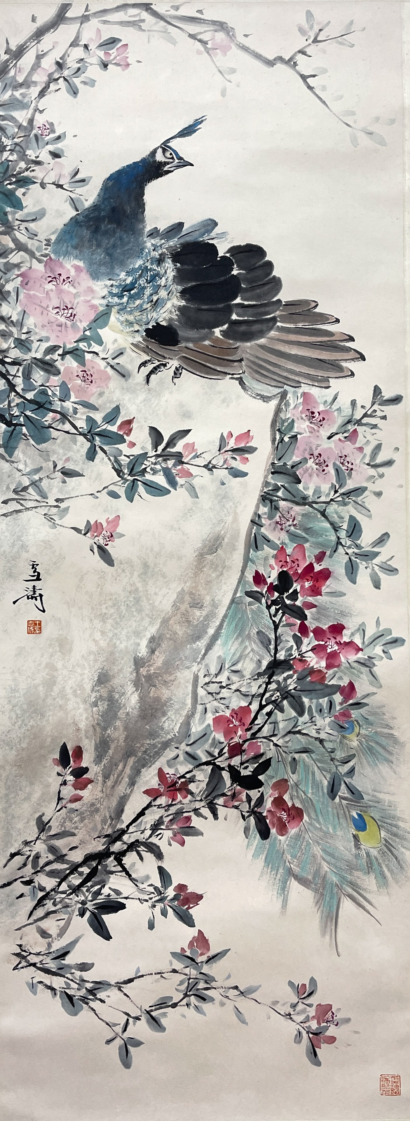 Wang Xuetao, Peacock, hanging scroll on paper (1 of 7)