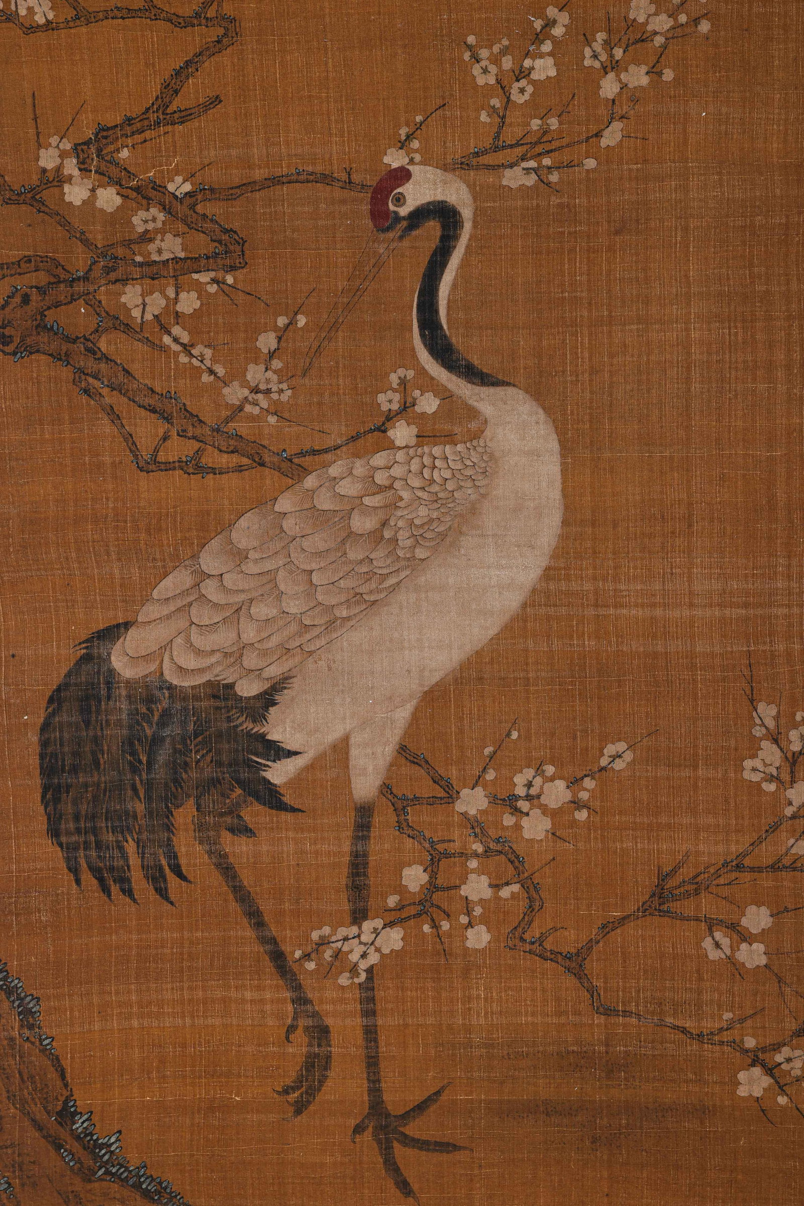 Crane - 5