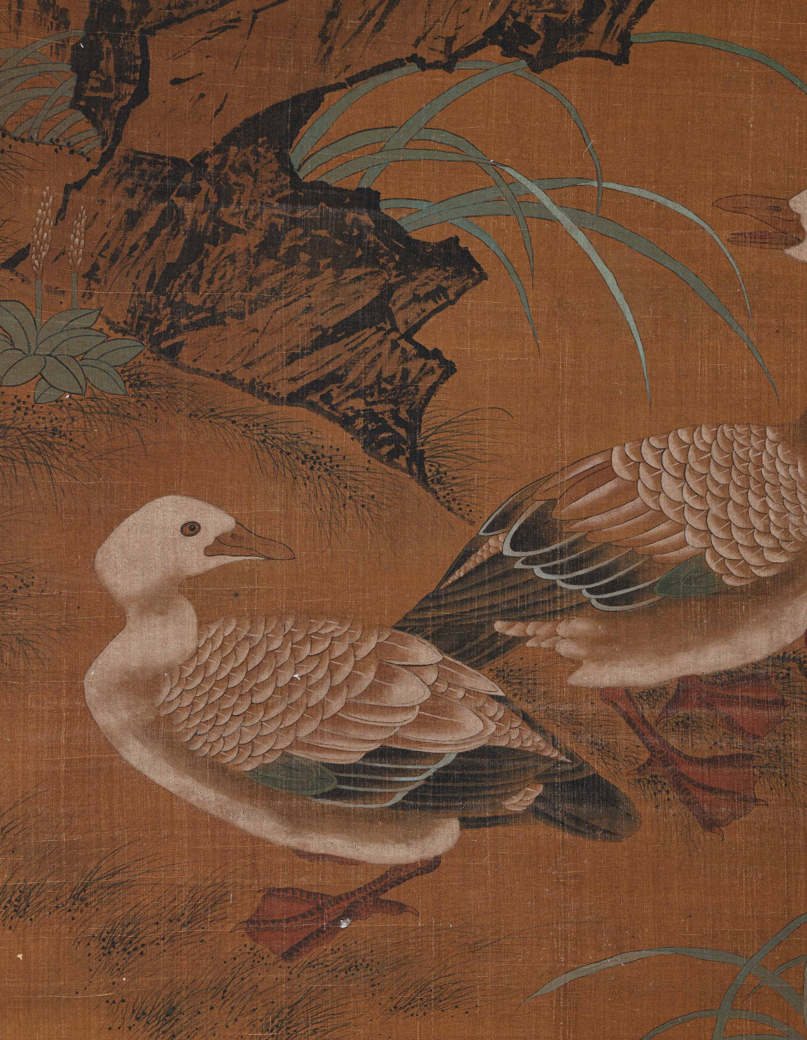 Flowers and Birds - 6