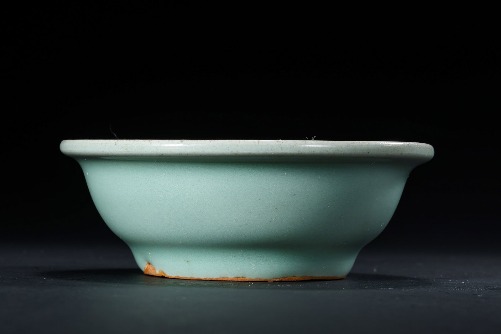 Celadon double-fish rimmed washer from Longquan kiln, Southern Song Dynasty, China (1 of 10)