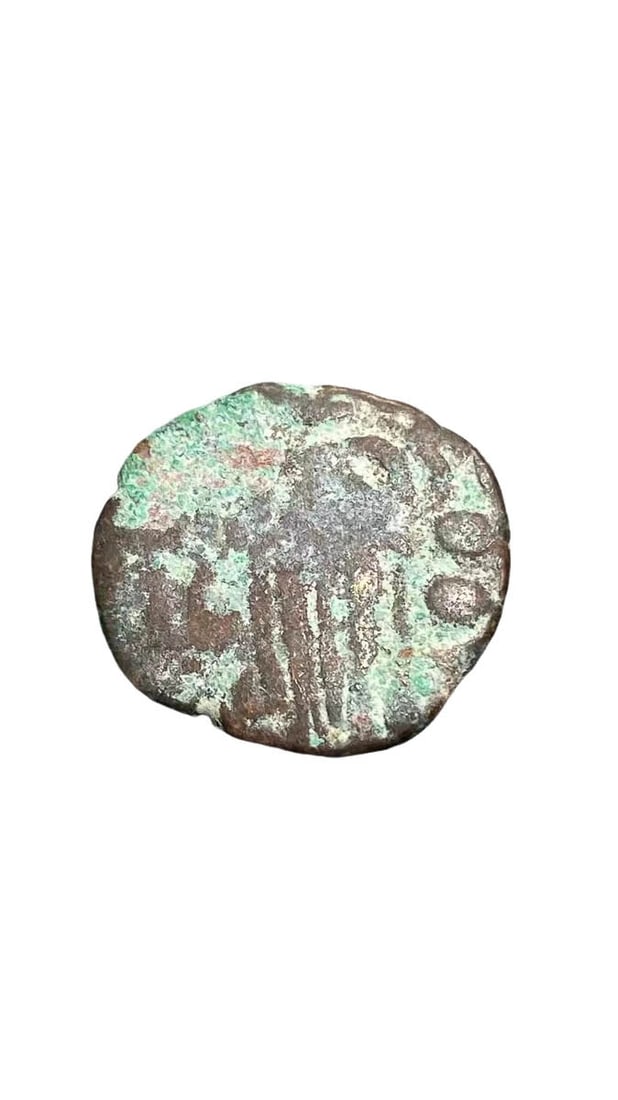 West?Asian Antique Bronze Octopus?shaped Coin: Diameter 18.2mm