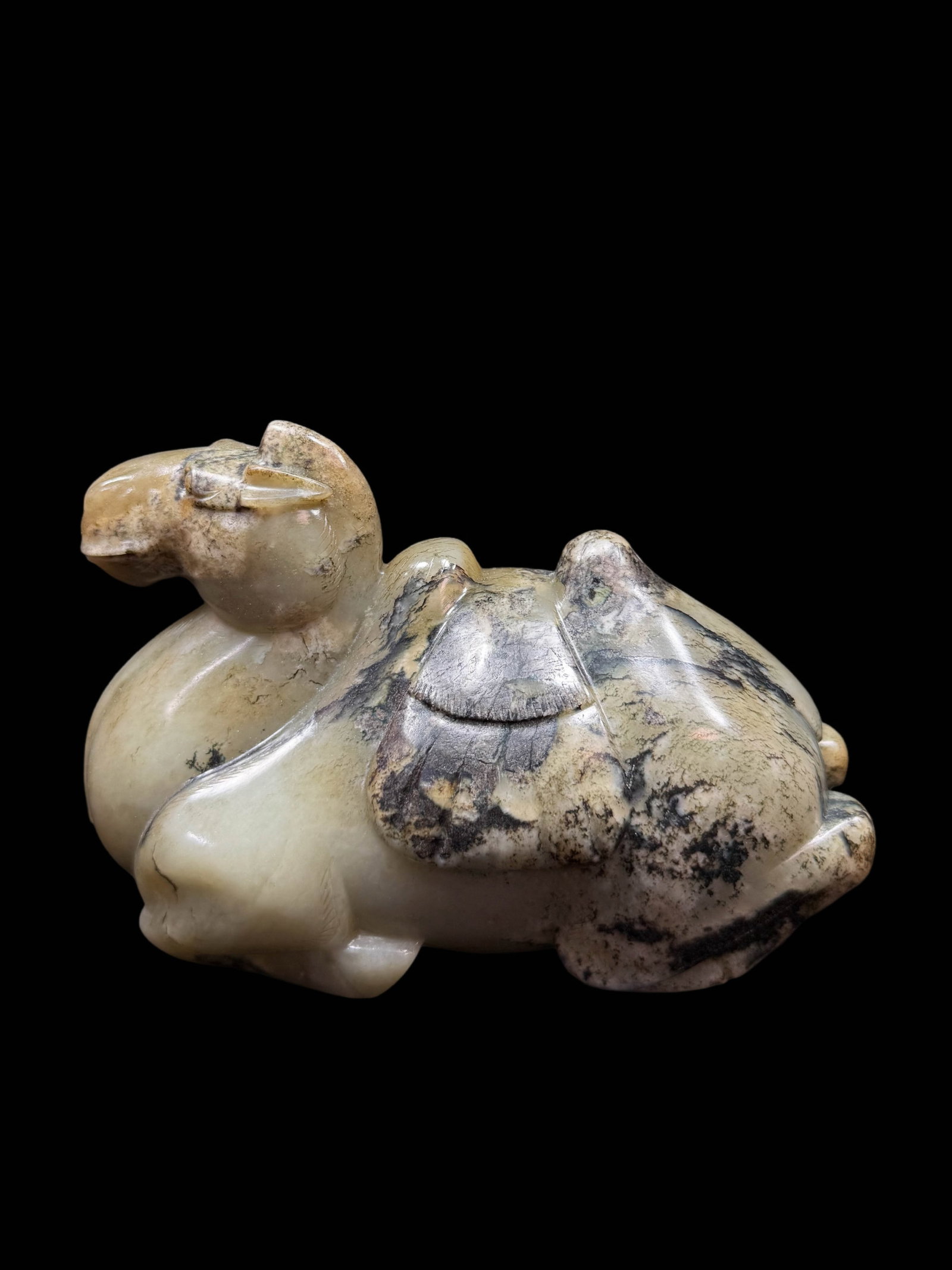 Recumbent Jade Bactrian Camel - 5