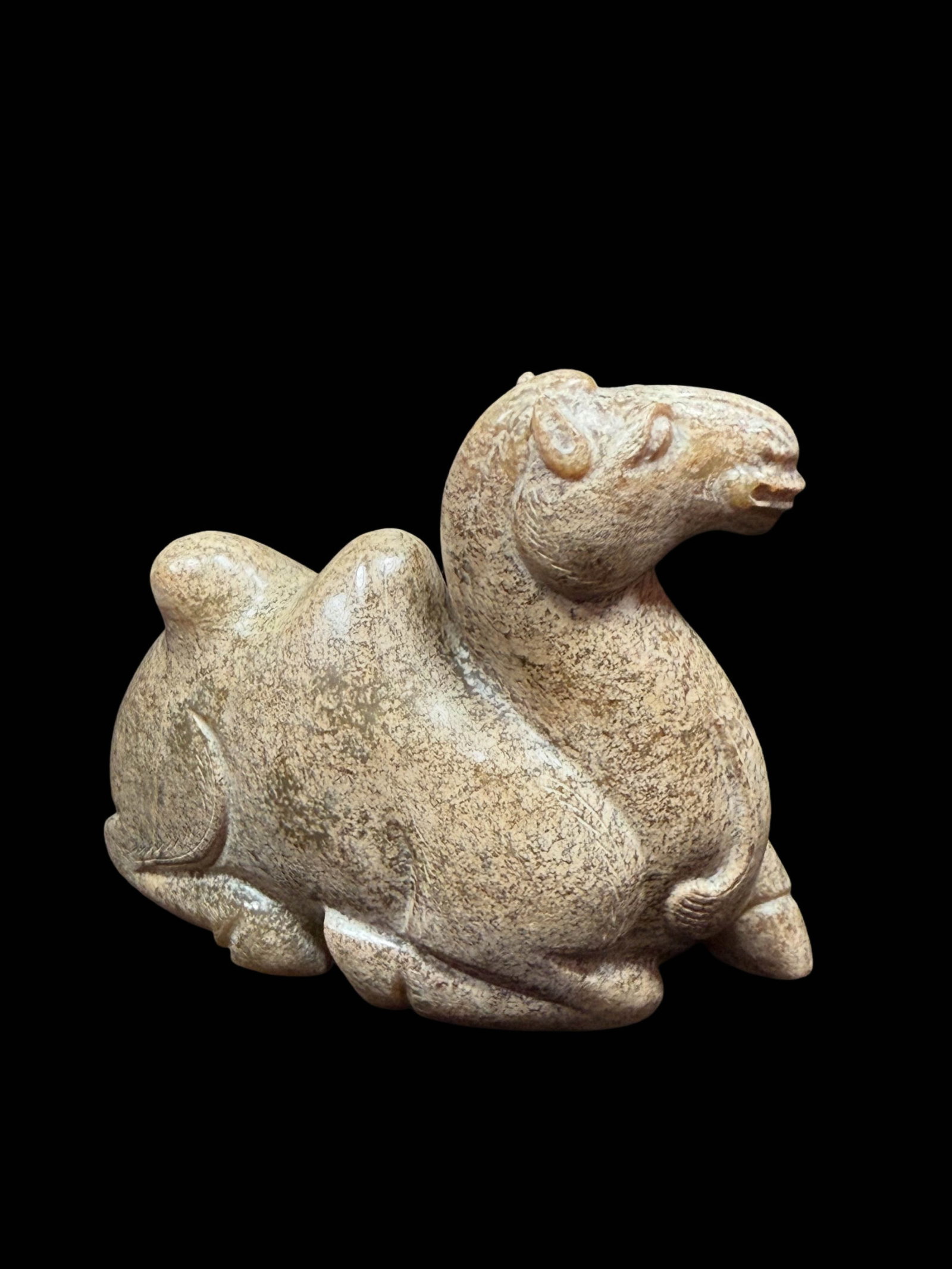 Jade Recumbent Bactrian Camel - 5