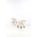 Flemming Lassen (1902-1984) Pair of armchairs Sheepskin