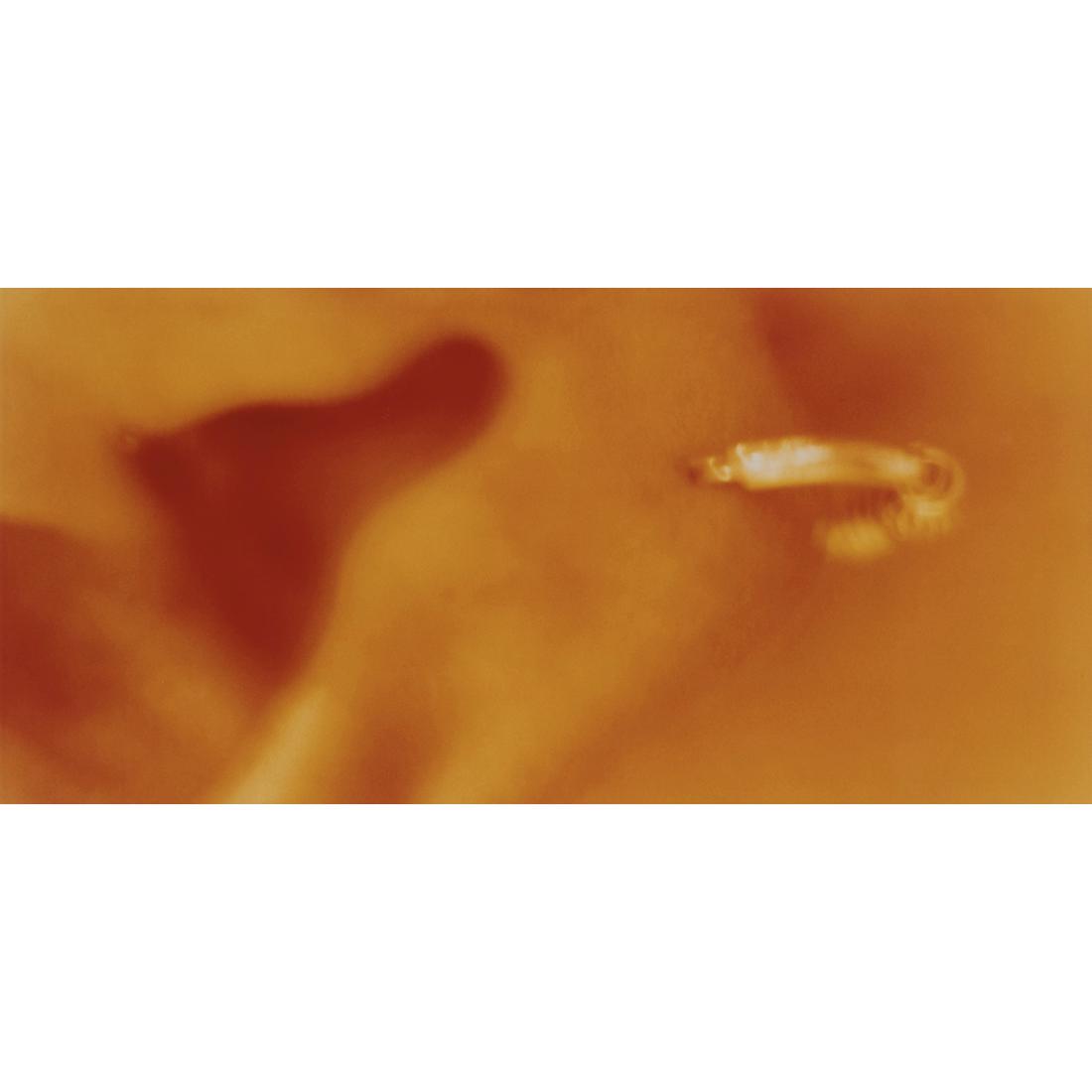 Sam Samore (born 1963) The Sirens, N16, 1998: Sam Samore (born 1963)The Sirens, N16, 1998C-PrintEdition n236 x 75 cmProvenance:- Galerie Rodolphe Janssen, Brussels- Private collection, Brussels