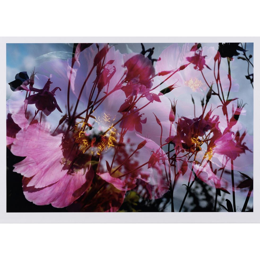 Peter Fischli (born 1952) and David Weiss (1946-2012) (1 of 1)