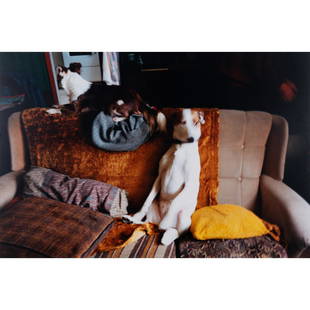 Richard Billingham (b. 1970) Untitled (Series Ray's a laugh), 1996: Richard Billingham (b. 1970)Untitled (Series Ray's a laugh), 1996Chromogenic print mounted on aluminum80 x 120 cmSigned, dated, and numbered on the reverse : "5/7"Edition of 7Provenance : - Anthony