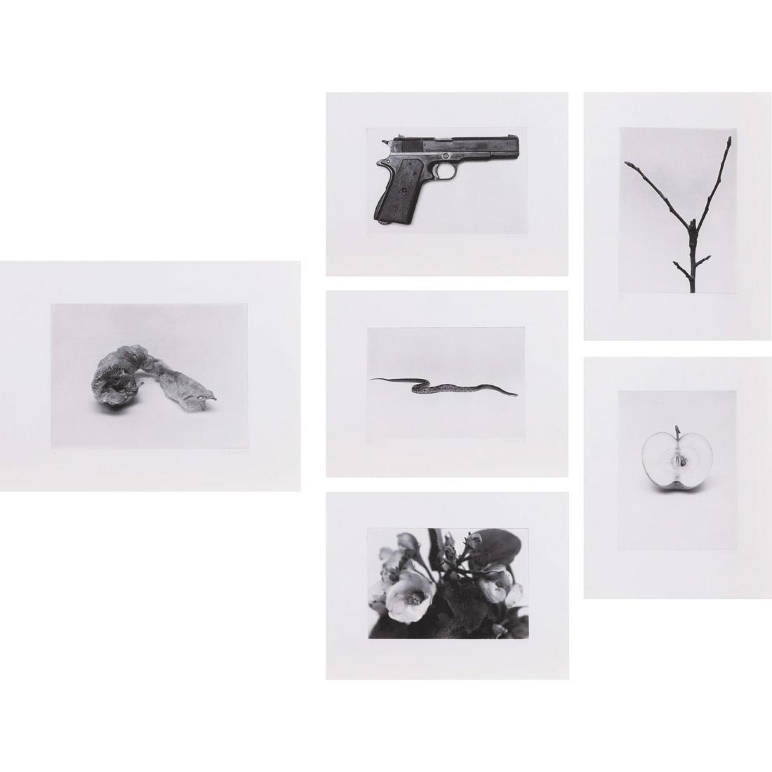 Rosemarie Trockel (b. 1952 ) Landschaft mit frauenfigur, 1993: Rosemarie Trockel (b. 1952 )Landschaft mit frauenfigur, 1993Complete portfolio of six photogravures on Wove paperSigned and dated bottom right (each)Numbered bottom left :"3/8" (each)Edition of 8Editi