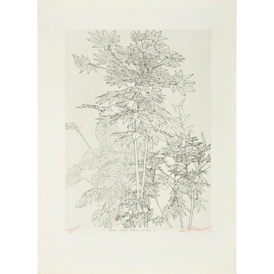 Sam Szafran (1934-2019) Feuillages - c. 1970: Sam Szafran (1934-2019) Feuillages - c. 1970 Etching on wove paper Signed and inscribed "ea" in red chalk Dedicated "pour mon ami Yves" in pencil 54 × 40 cm (S)