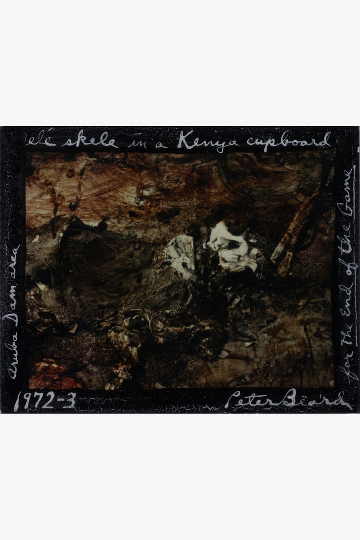 Peter Beard (1938-2020) Elé skele in a Kenya cupboard, 1972-1973 Mixed media on silver print: Peter Beard (1938-2020)Elé skele in a Kenya cupboard, 1972-1973Mixed media on silver printSigned on the bottom rightDated on the bottom leftTitled on the top centerAnnotated along the right and l