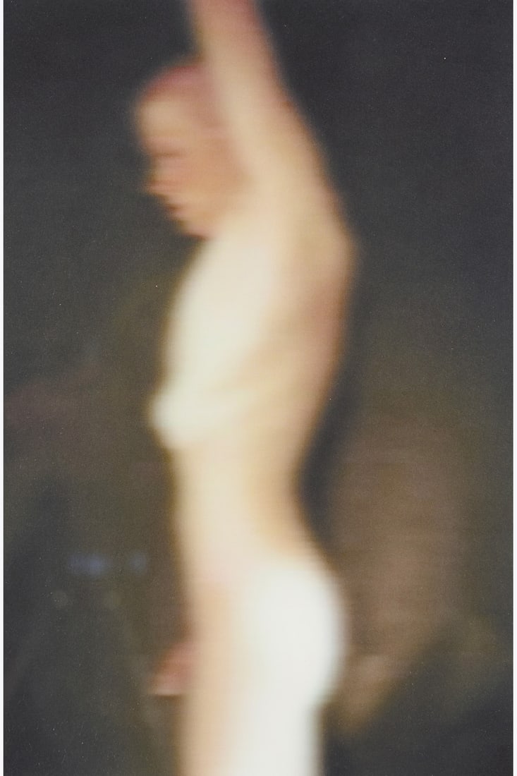 Thomas Ruff (born 1958) Nudes ez14, 2001 Iris print Numbered: "41/50" on a label on the back Edition: Thomas Ruff (born 1958)Nudes ez14, 2001Iris printNumbered: "41/50" on a label on the backEdition of 50 24 x 36,5 cm (image)73 x 58,5 (sheet)Provenance: Private collection, Paris