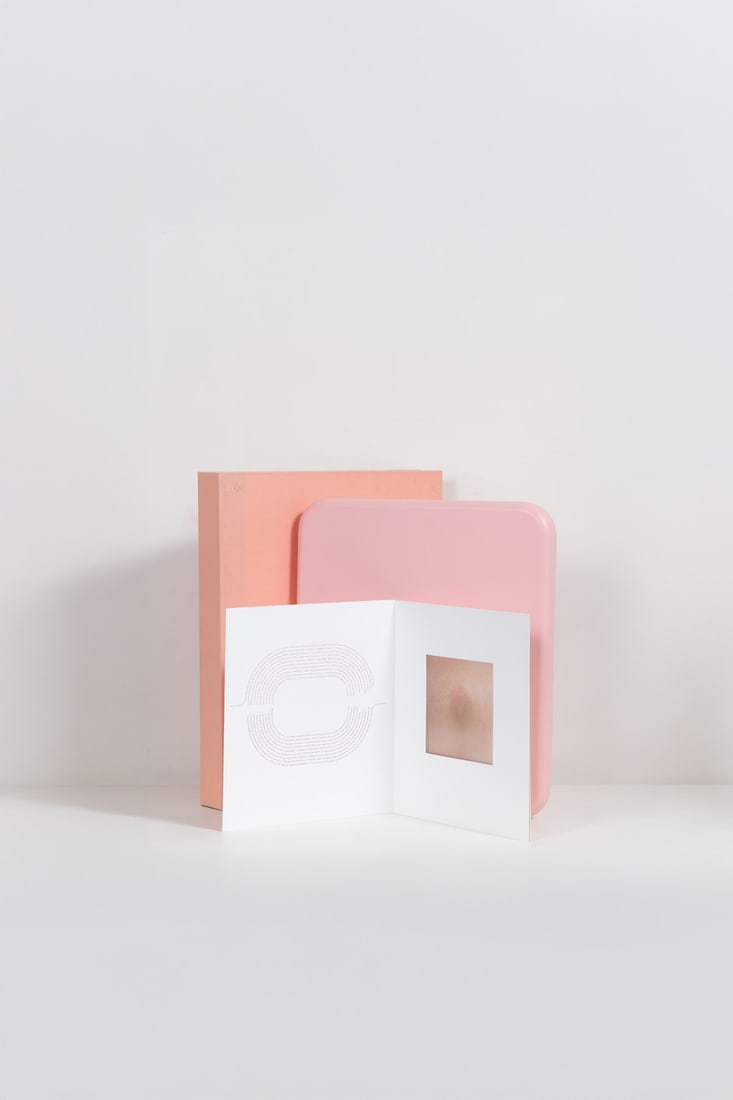 Milagros De La Torre - José Manuel Prieto - Pierre Charpin Vision disorders: Milagros De La Torre - José Manuel Prieto - Pierre Charpin Vision disorders. Visión, trastornos. Toluca Éditions, Paris, 2003. In-4 (38 × 33 × 3.8 cm). First edition, limited