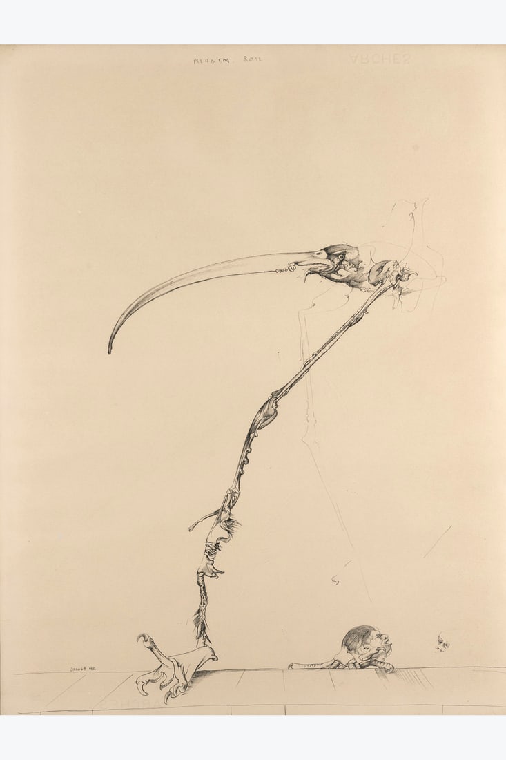 Dado (1933-2010) Phlamen rose (Flamant rose), 1968 Graphite and Indian ink on paper Signed, dated,: Dado (1933-2010) Phlamen rose (Flamant rose), 1968 Graphite and Indian ink on paper Signed, dated, and localized lower left Titled upper center 65 x 50 cm Provenance: Collection of Paul and Jacqueline