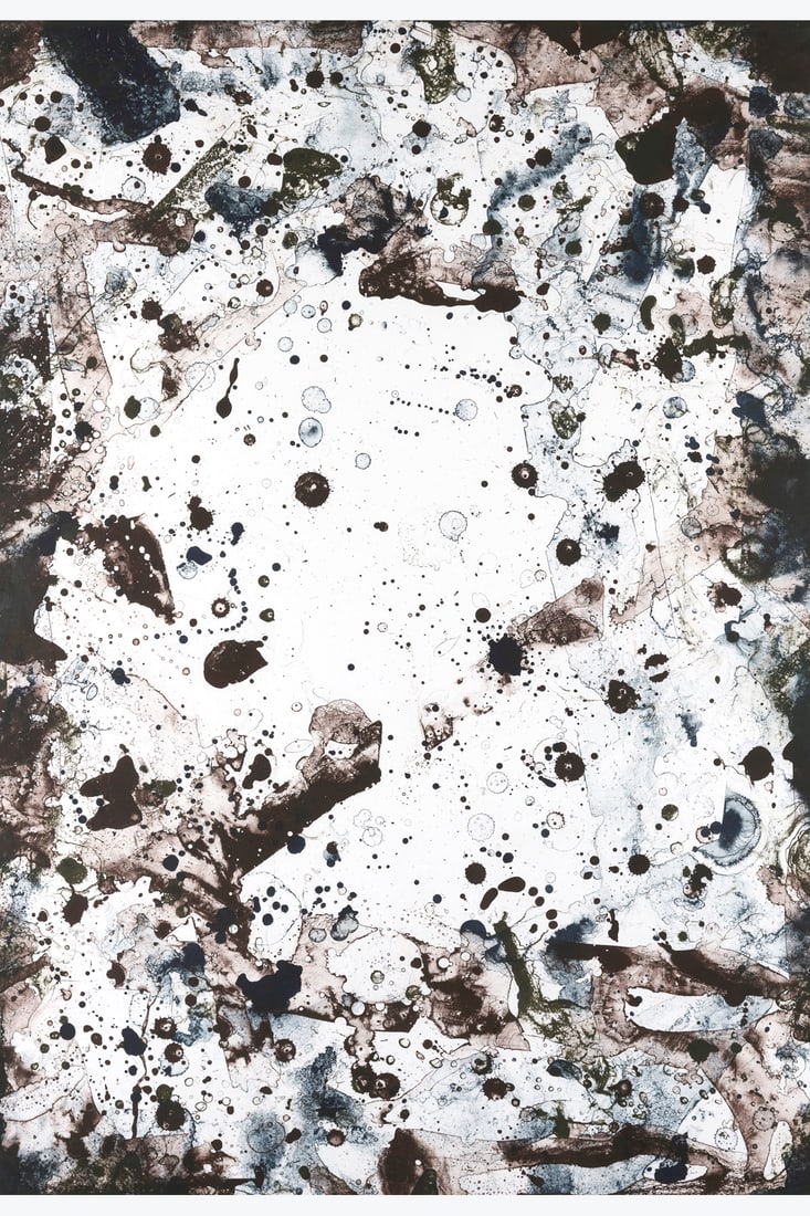 Sam Francis (1923-1994) Metal II (from the vegetable series), Santa Monica, 1971 Lithograph on Rives (1 of 1)