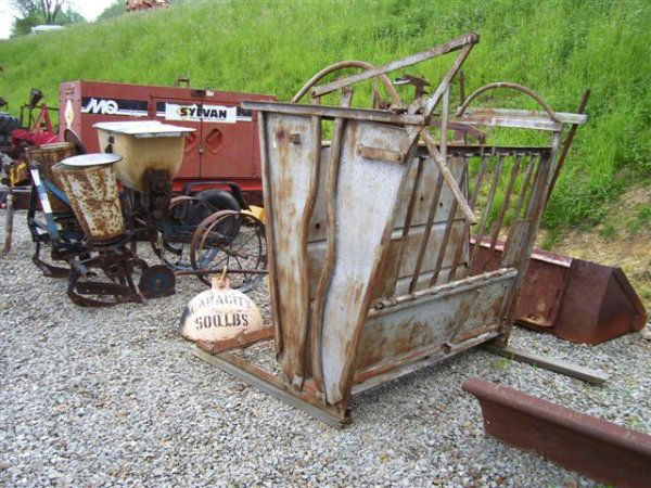 8: 5FT CALF/GOAT HEAD SQUEEZE CATTLE CHUTE.