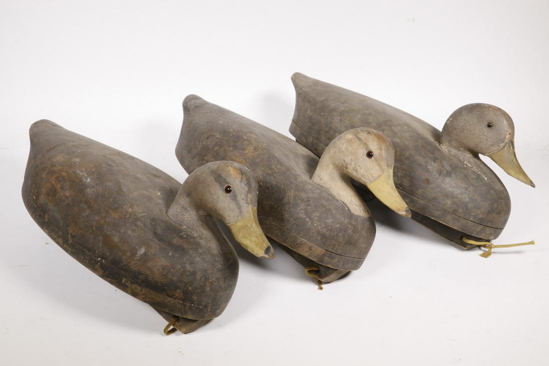(3) WORKING DUCK DECOYS, OLD SAYBROOK: Circa 1930s Old Saybrook Wildfowl in carved wood, separate head, glass eyes, remnants of paint, company stamp on the underside of all three, retaining lead weights, 19 1/2" long.
