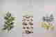 item-82639242=2
