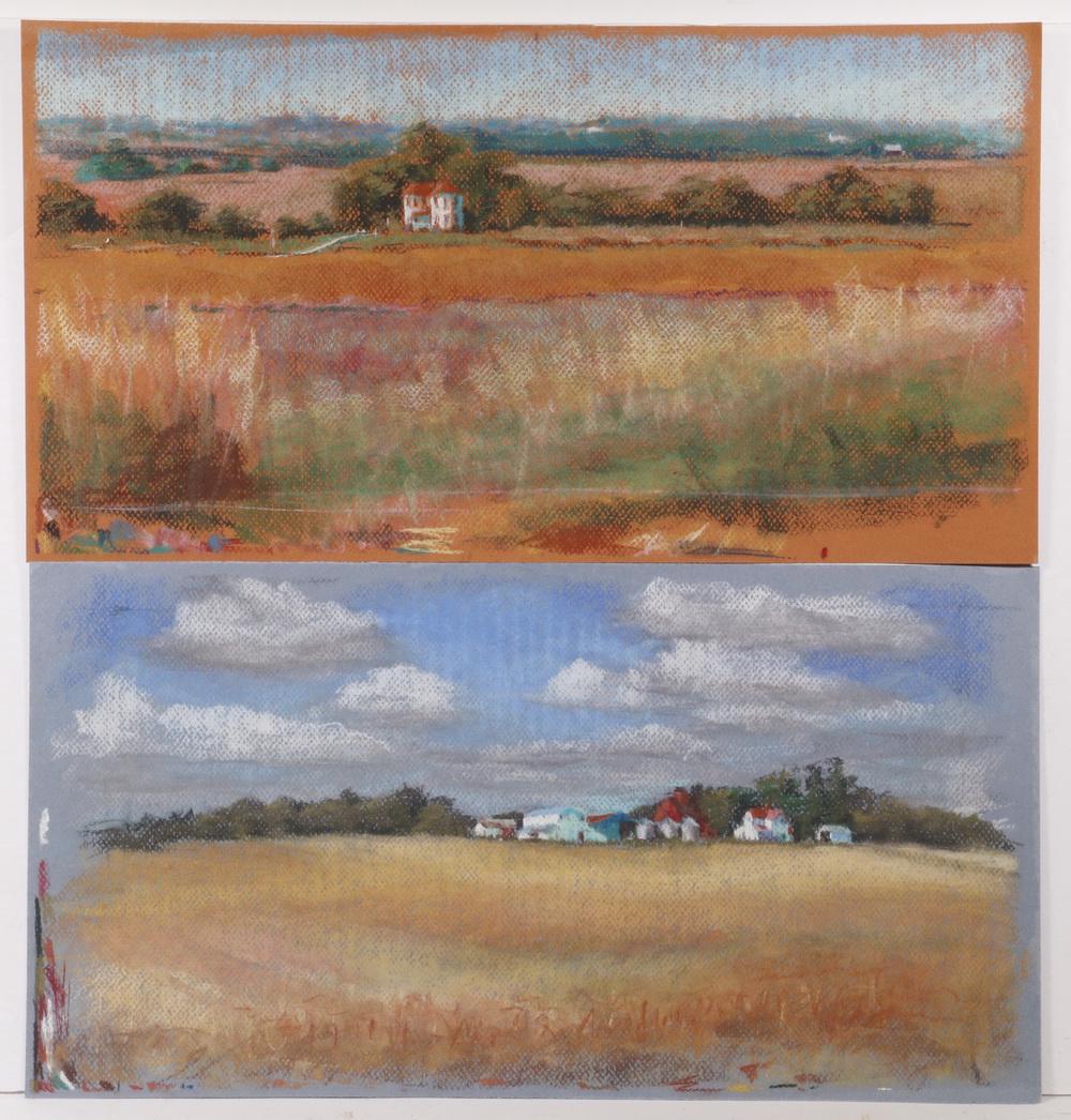 (2) CAROLYN WHITAKER (ME/CA,1949-2018) PASTELS: (2) Rural Landscapes, pastel on paper, unsigned, depicting distant farms, unframed, 10" x 19". Good condition.