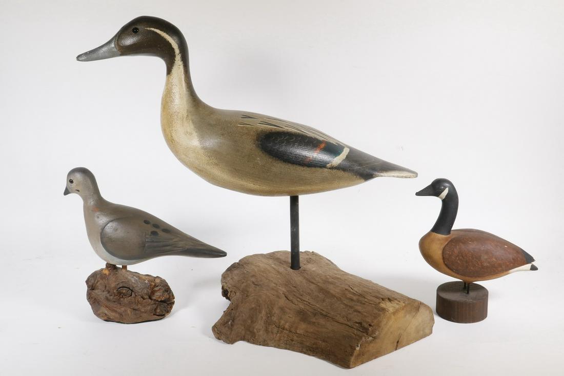 (3) FINE DISPLAY DECOYS: Pintail Drake by Ken Kirby, 18" long; Canada Goose, by E. Rhodenger, 7" long; Dove initialed "BLK", 9" long. Good condition.