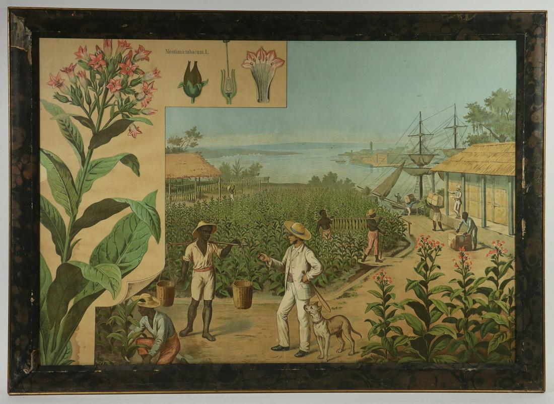 FRAMED CHROMOLITHOGRAPH - TOBACCO PLANTATION (1 of 2)