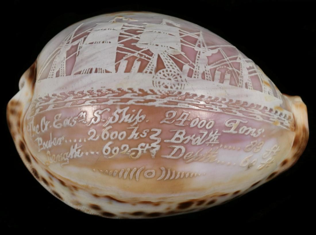 CARVED COWRIE SHELL FOR THE STEAMSHIP "GREAT EASTERN": 19th c. Carved Tiger Cowrie, possibly a giveaway item associated with the English steamship "Great Eastern" (launched in 1858, set on its maiden voyage in 1859), shell carving includes an image and st